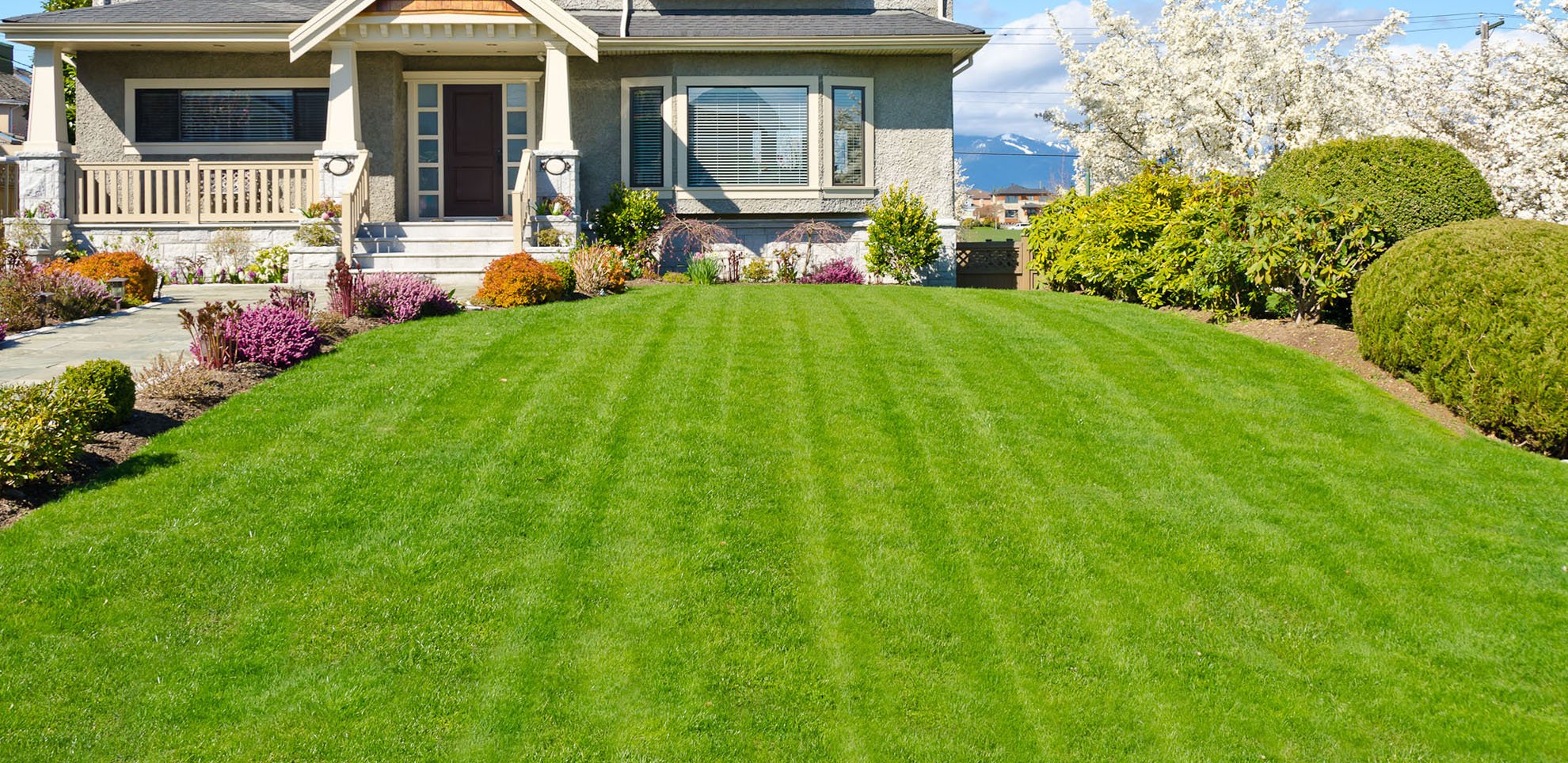 Completed Yard Project 5